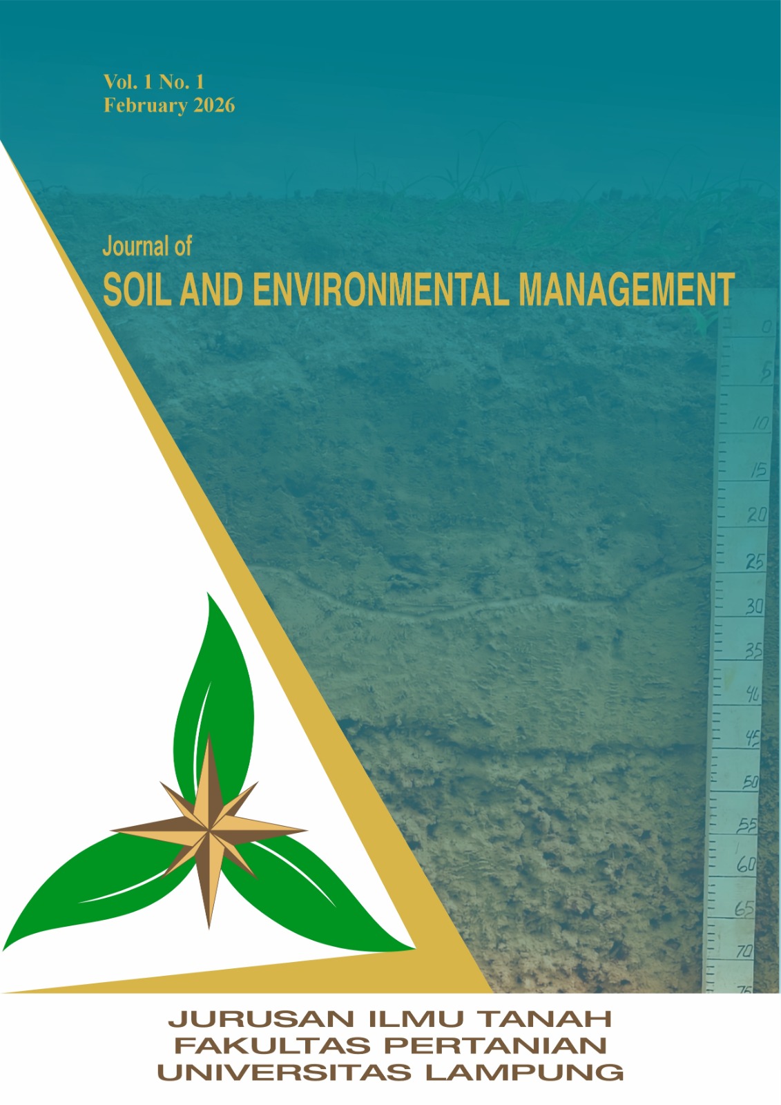 JSEM Cover